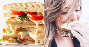 Can you eat only sandwiches and lose weight